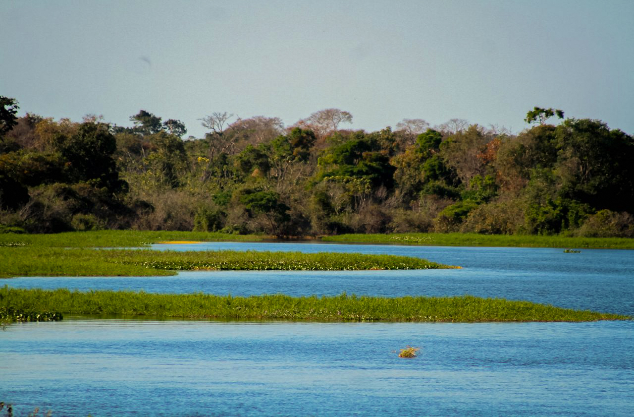 AGRONEGÓCIO E EQUILÍBRIO AMBIENTAL - Rondônia obtém índice histórico na expansão de riqueza e redução de desmatamento

